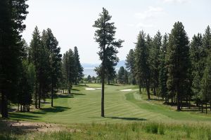 Osprey Meadows 7th Tree 2025